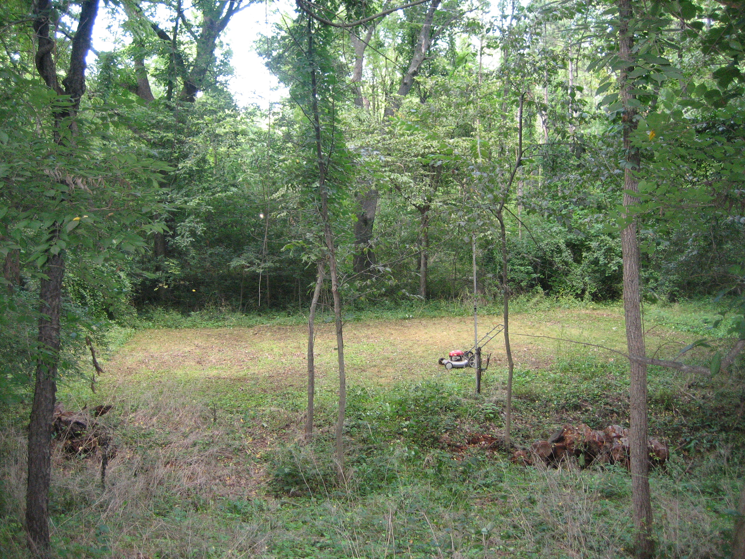 My brother's newly discovered grass tennis court, neglected for decades, after I mowed it